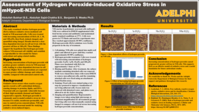 Assessment of Hydrogen Peroxide-Induced Oxidative Stress in mHypoE-N38 Cells